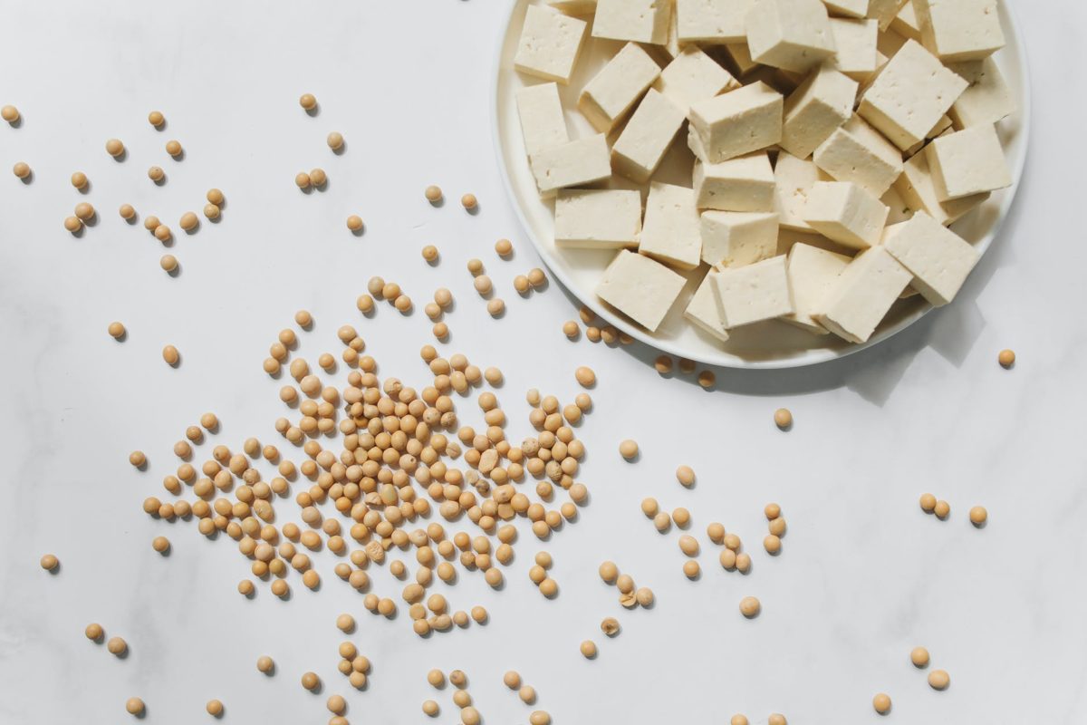 photo of tofu on white ceramic plate near soybeans