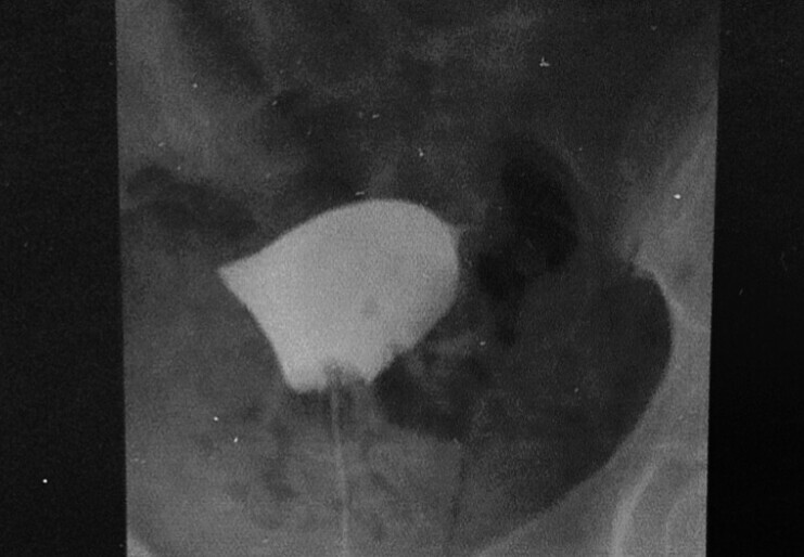 画像に alt 属性が指定されていません。ファイル名: 20210528_162949-1.jpg